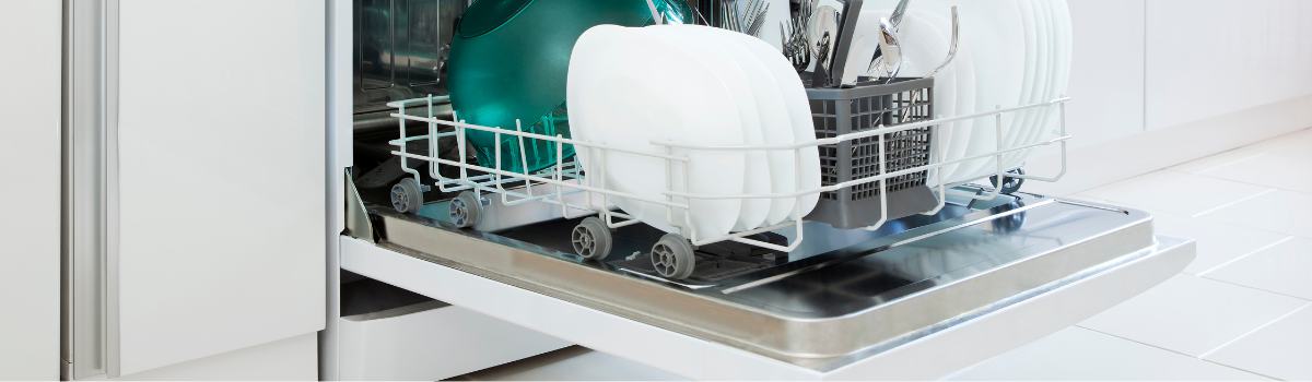 Dishwasher Leaking from Bottom Left Corner