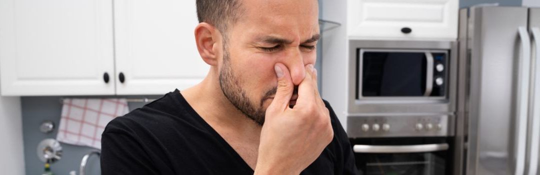 Kenmore Refrigerator Ice Odor Issues