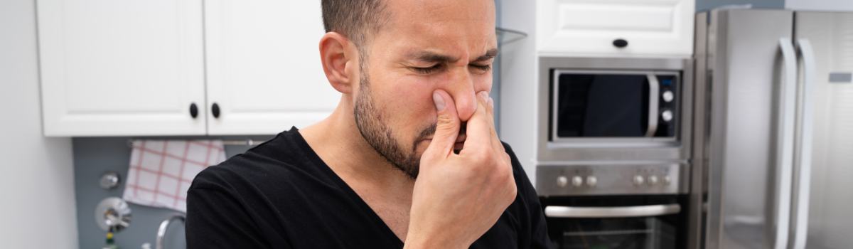 Kenmore Refrigerator Ice Odor Issues