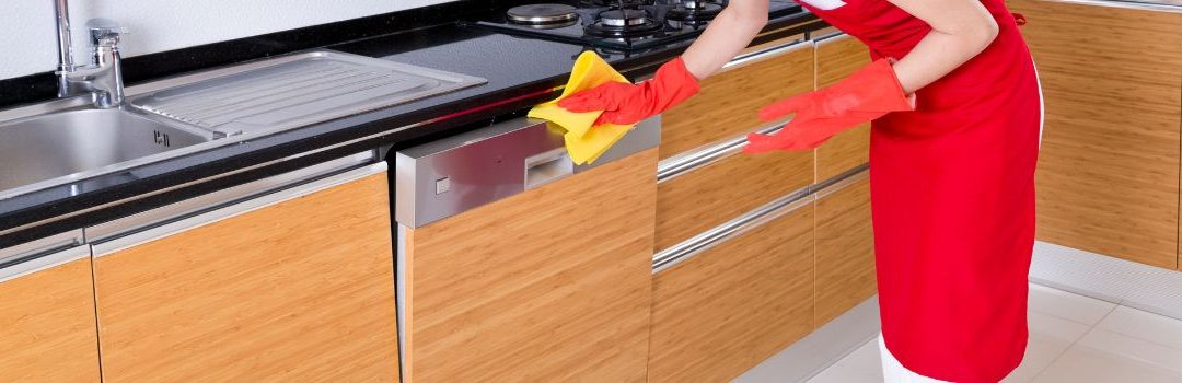 Bosch Dishwasher Cleaning Tips for Langley Homes