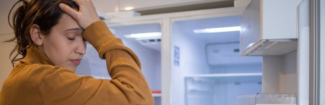 DIY Smart Fridge Repair for Langley Residents