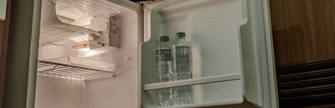 Langley-Area Buying Guide for Compact Refrigerator Brands