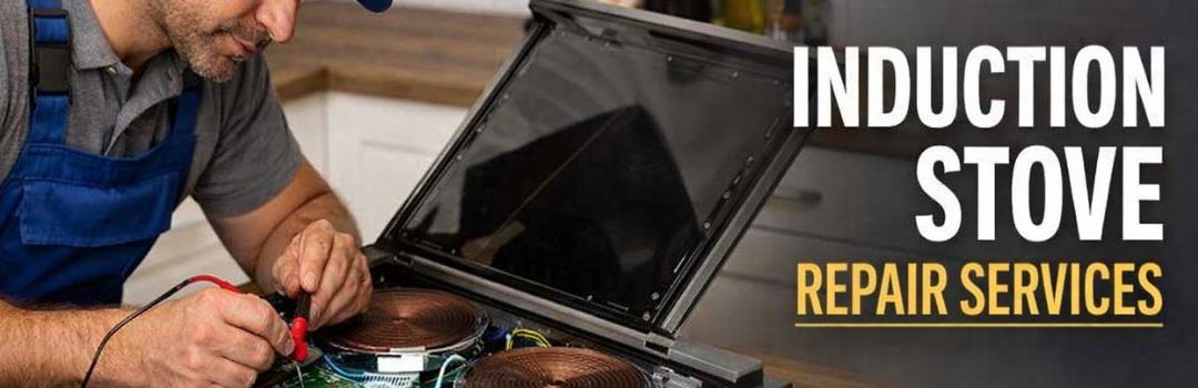 Induction Stove Repair Services in Langley