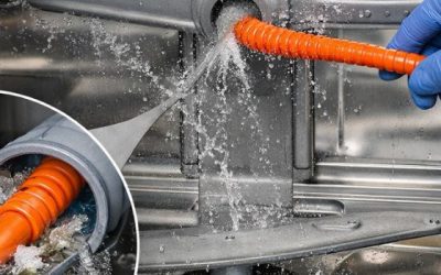 Dishwasher Internal Pipe Cleaning Strategy Near Langley